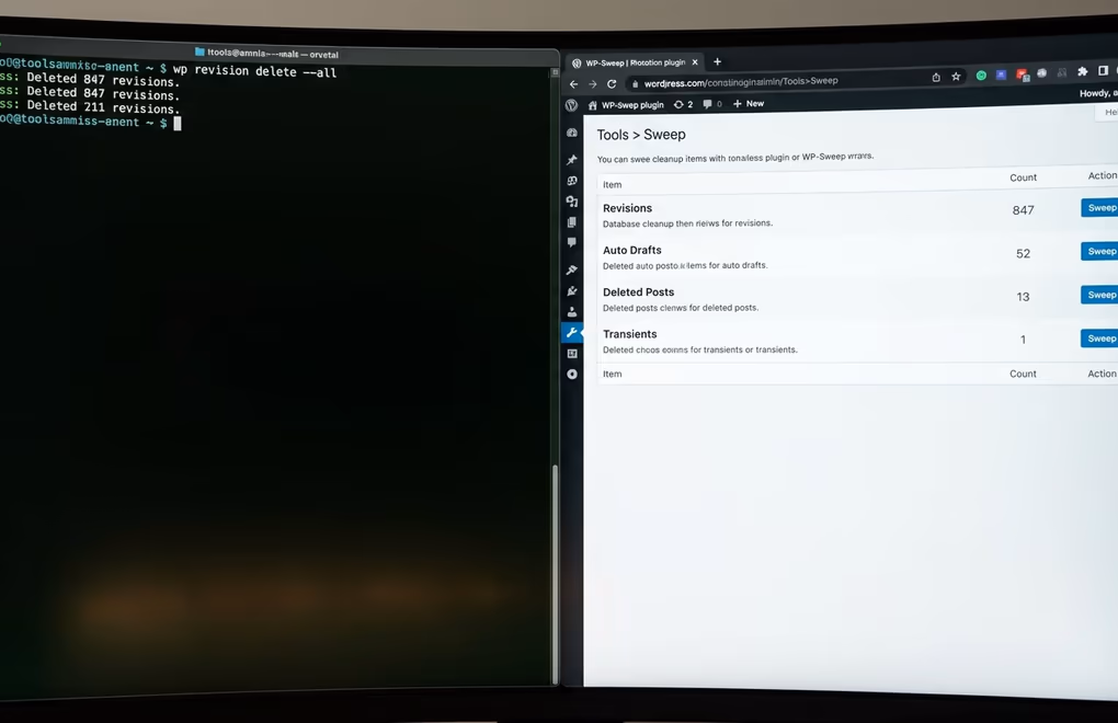 deleting old WordPress revisions safely with WP-Sweep database cleanup