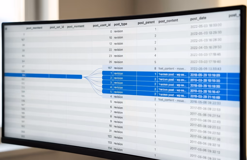 wordpress revisions
