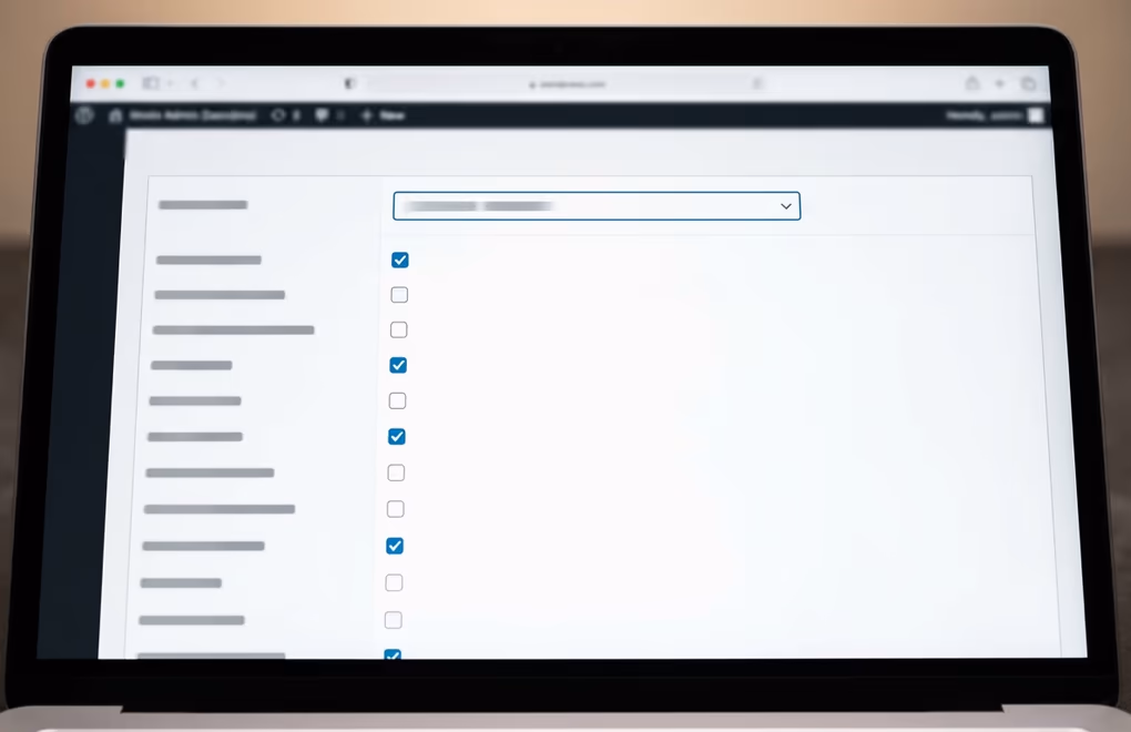 WordPress User Roles and Permissions: What Each Role Can and Can't Do 5 customizing WordPress user roles with a role editor plugin interface