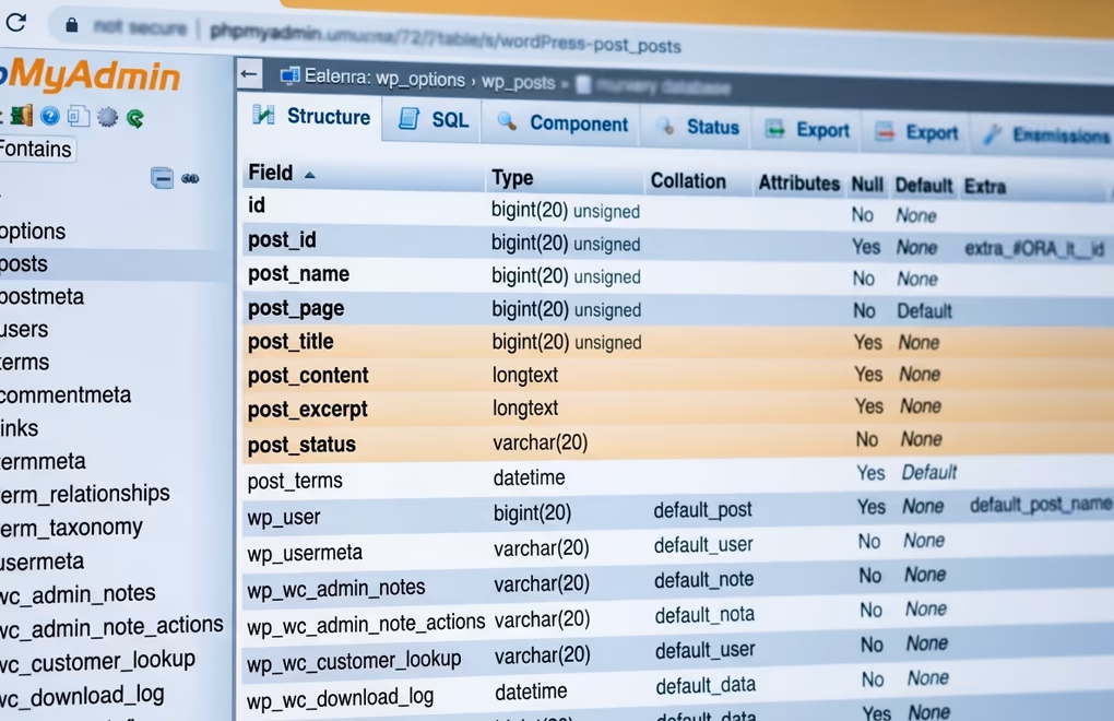 WordPress White Screen of Death: How to Find the Cause and Fix It 5 WordPress database repair and core file recovery