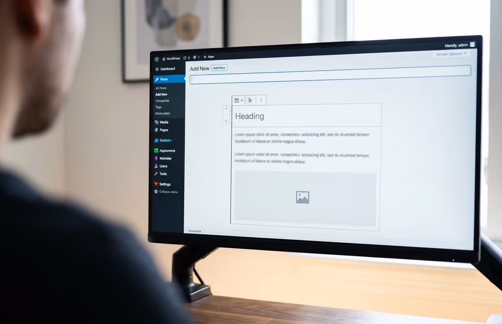 wordpress custom post types